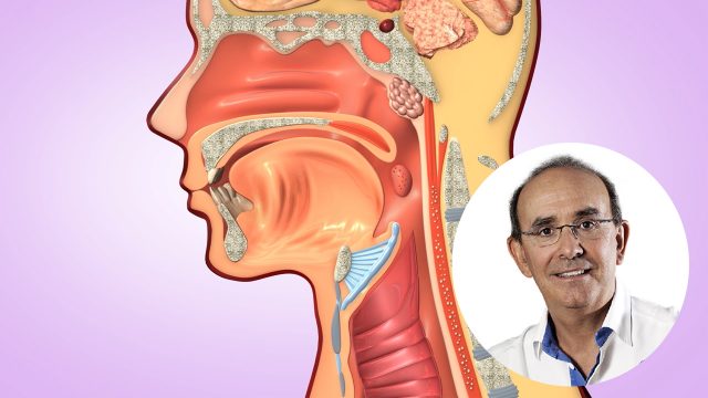 🇩🇪 Der Experte meldet sich zu Wort: Atmung