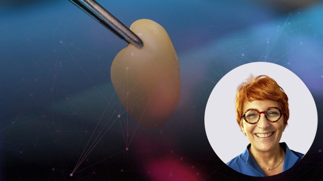 🇬🇧  PRGF – ENDORET®: 25 years of experience
