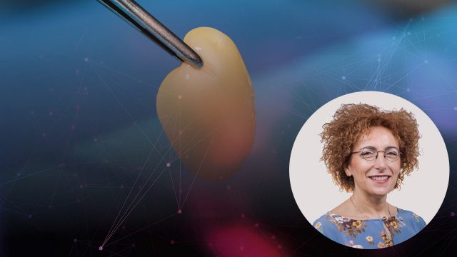 🇬🇧  PRGF – ENDORET®: 25 years of experience
